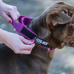 Julius K9 Collier Couleur Et Gris Avec Poignée Rose 7 Julius K9 Collier Couleur Et Gris Avec Poignée Rose -Trixie Soldes Magasin collar julius rosa con mango 62dfd50b00782