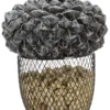 Trixie Bellota Feeder For Birds 2 Trixie Bellota Feeder For Birds -Trixie Soldes Magasin comedero bellota para pajaros 1