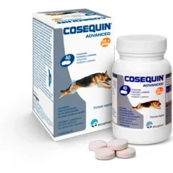 Cosequin Advanced Chondroprotecteur DS MSM HA -Trixie Soldes Magasin condoprotector ds msm ha 40 comprimidos 1 1