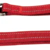 Nayeco Laisse De Formation Pour Chien En Nylon Réfléchissant Rouge -Trixie Soldes Magasin correa adiestramiento nylon reflectante rojo 1