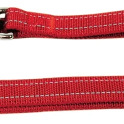 Nayeco Laisse De Formation Pour Chien En Nylon Réfléchissant Rouge