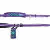 Freedog Laisse Boreal Purple Boreal Pour Chiens -Trixie Soldes Magasin correa boreal lila para perros 647753243a9f4