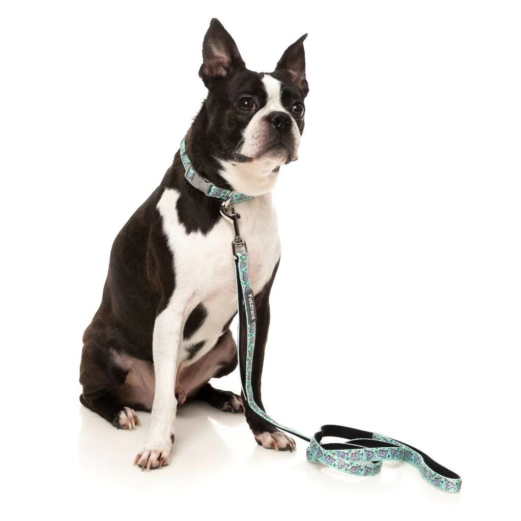 FuzzYard Collier En Néoprène Pour Koalas De Dreamtime 4 FuzzYard Collier En Néoprène Pour Koalas De Dreamtime – Image 2