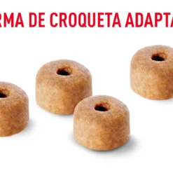 Royal Canin Labrador Retriever Puppy Aliment Pour Chiots -Trixie Soldes Magasin croqueta adaptada royal puppy 6436becea76fc