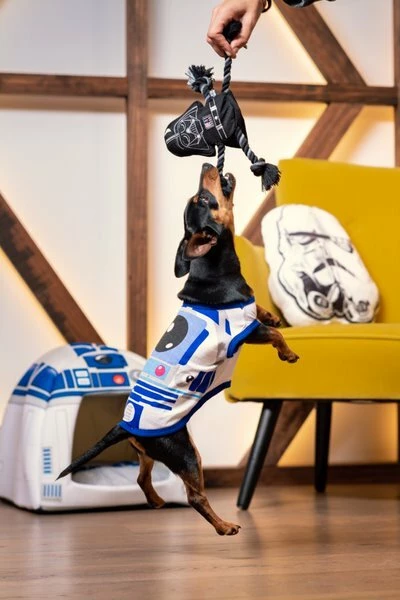 For Fan Pets Corde à Disques Dentaires Pour Chien Star Wars 9 For Fan Pets Corde à Disques Dentaires Pour Chien Star Wars – Image 7