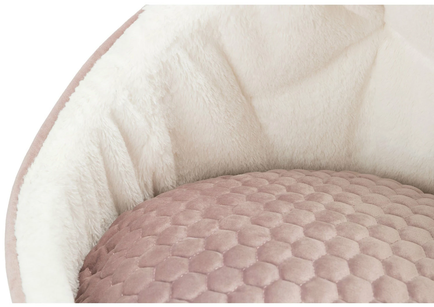 Trixie Soft Cave Livia 14 Trixie Soft Cave Livia – Image 12