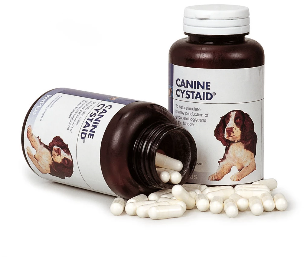VetPlus Cystaid Pour Les Problèmes Du Système Urinaire Chez Les Chiens 3 VetPlus Cystaid Pour Les Problèmes Du Système Urinaire Chez Les Chiens