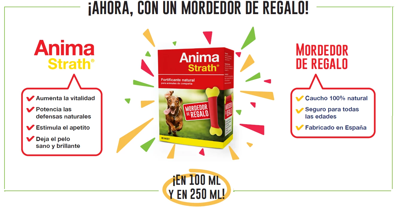 Anima Strath Supplément AlimentAir Anima-Strath 4 Anima Strath Supplément AlimentAir Anima-Strath – Image 2