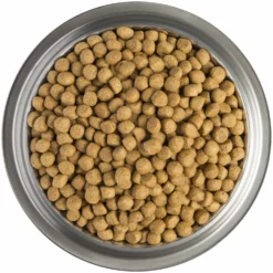 Pro Plan Veterinary Diets DM Diabetes Managment -Trixie Soldes Magasin dm diabetes managment 2 scaled