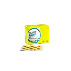Boehringer Ingelheim Compléments Seraquin Oméga-60 Cds (Chondroprotecteur) -Trixie Soldes Magasin dogcondroprotector articulaciones seraquin omega 60 comprimidos2 623a04b166cb5