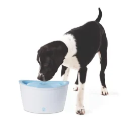 Hagen Abreuvoir Fontaine 6 Litres Dogit -Trixie Soldes Magasin dogit desing bebedero 6 l 2 3 4
