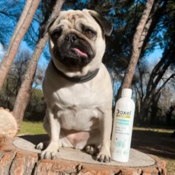 Doxel Supplément Senior -Trixie Soldes Magasin doxel senior 5 63885f9ddf43d