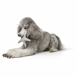 Hunter Jouet De Chien Star Skagen 8 Hunter Jouet De Chien Star Skagen -Trixie Soldes Magasin e HOicLV 69000 001 image 21 600x600 637e38a81484a