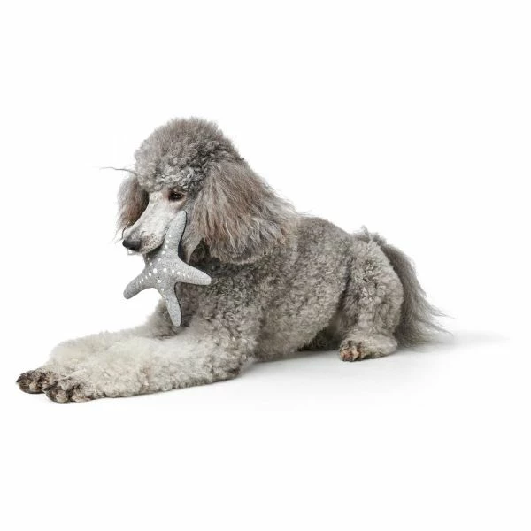 Hunter Jouet De Chien Star Skagen 4 Hunter Jouet De Chien Star Skagen – Image 2