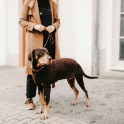 Hunter Finja Brune -Trixie Soldes Magasin e jICJ6H 67874 002 live 22 600x600 6387d312b376f