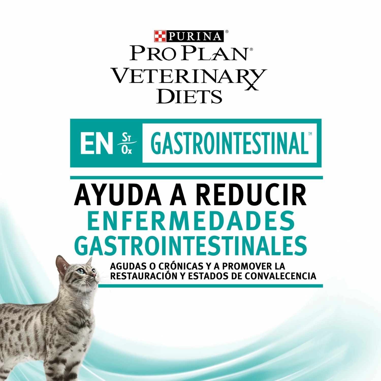 Pro Plan Veterinary Diets FR Gastro-intestinal ST/OX Morceaux Dans Une Sauce Au Poulet 13 Pro Plan Veterinary Diets FR Gastro-intestinal ST/OX Morceaux Dans Une Sauce Au Poulet – Image 11
