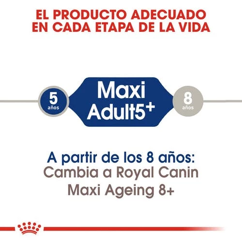 Royal Canin Tourteau Maxi Adult +5 6 Royal Canin Tourteau Maxi Adult +5 – Image 4