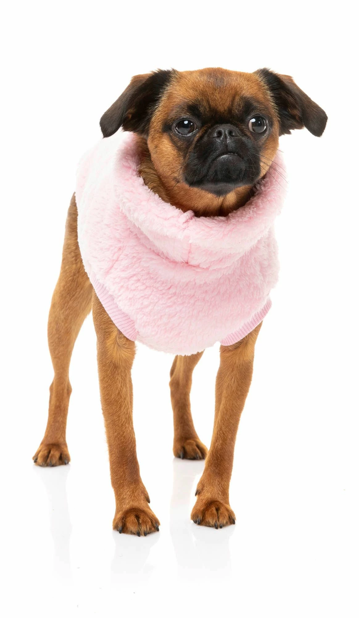 FuzzYard Turtle Teddy Sweatshirt Rose 8 FuzzYard Turtle Teddy Sweatshirt Rose – Image 6