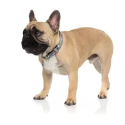 FuzzYard Collier En Néoprène Coachella 5 FuzzYard Collier En Néoprène Coachella -Trixie Soldes Magasin fuzzyard collar neo coachella2 62dff98324d58