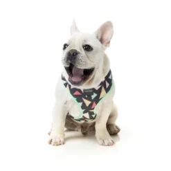 FuzzYard Harnais RAD -Trixie Soldes Magasin fuzzyard rad charcoal with multi triangles dog harness 2 300x 62c29e338ca38