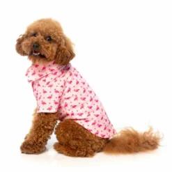 FuzzYard Chemise Hawaïenne Fabboyant Pour Chiens -Trixie Soldes Magasin fzaw281 7 hawaiianshirt fabboyant dog 3 2 649ab3607d6f6