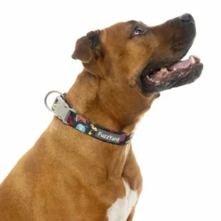 FuzzYard Collier En Néoprène Bel Air -Trixie Soldes Magasin fzcl94 6 collar neo belair dog 6 1 1024x1024 62c2a6a2bd8b4 62ea4961c1a42