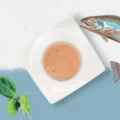 Lot 12 Beyond Saumon Pour Chat Sans Céréales -Trixie Soldes Magasin grain free gato salmon 3