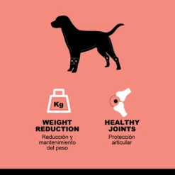 Hantu Adult Diet Dinde -Trixie Soldes Magasin hantu perro adulto pavo 2info 622b3036a5634