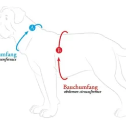 Hunter Divo Bleu Arné -Trixie Soldes Magasin harness measur 400x 6387fb828a41f
