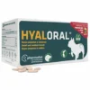 Farmadiet Supplément Hyaloral Races Petite Et Moyenne Taille 90 Comprimés 2 Farmadiet Supplément Hyaloral Races Petite Et Moyenne Taille 90 Comprimés -Trixie Soldes Magasin hyaloral razas pequenas y medianas 63ed2fafda32b