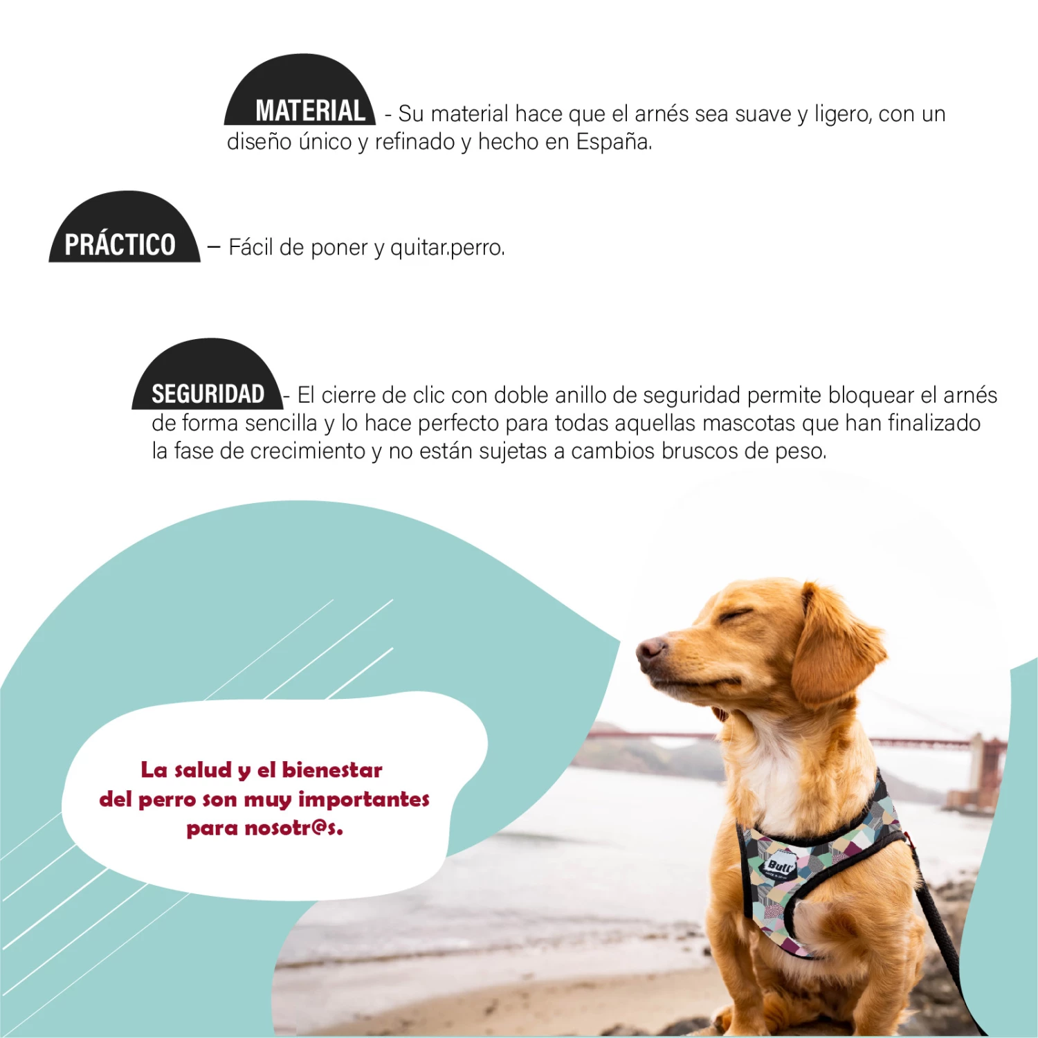 Bull Arnés Sport Thor Para Perros 4 Bull Arnés Sport Thor Para Perros – Image 2