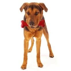 Tastybone Rôti De Buf Os Et Vin Rouge -Trixie Soldes Magasin image qp 2 63491546da3d1