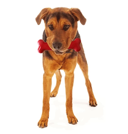 Tastybone Twinpack Viande Viande De Boeuf Wellington Et Cordon Bleu 4 Tastybone Twinpack Viande Viande De Boeuf Wellington Et Cordon Bleu – Image 2