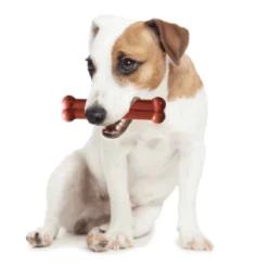 Tastybone Rôti De Buf Os Et Vin Rouge -Trixie Soldes Magasin image qp 3 6349154872eda