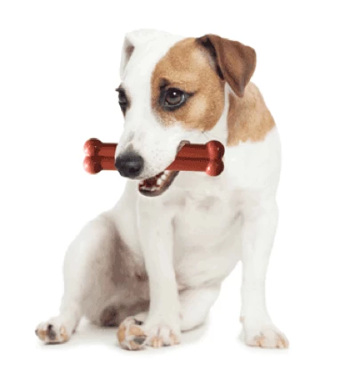 Tastybone Paquet Double De Saucisses à Déjeuner, Buf Et Bacon 5 Tastybone Paquet Double De Saucisses à Déjeuner, Buf Et Bacon – Image 3