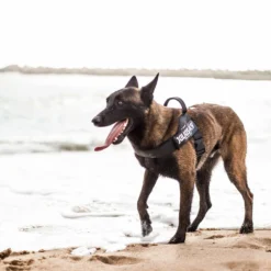 Julius K9 IDC Harnais Noir Ruban 7 Julius K9 IDC Harnais Noir Ruban -Trixie Soldes Magasin img 3043 62722dea9c9e9