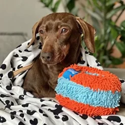 Chuckit! Chuckit Rouleau De Intérieur Pour Chiens 7 Chuckit! Chuckit Rouleau De Intérieur Pour Chiens -Trixie Soldes Magasin indoor roller 63da7fbf89d75