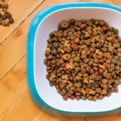 Primordial Nourriture Pour Chiens Adult Cerf Et Dinde 6 Primordial Nourriture Pour Chiens Adult Cerf Et Dinde -Trixie Soldes Magasin ingredienti sfondo 4 2bb074ee 62cff4bf53528