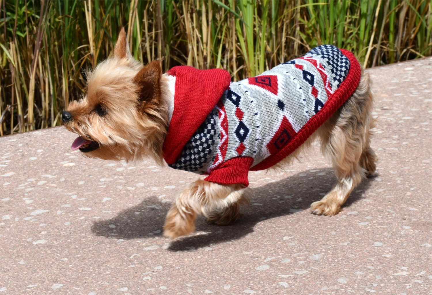 Nayeco Jersey Islandia Para Perro 4 Nayeco Jersey Islandia Para Perro – Image 2