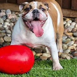 Jolly Pets Balle En Forme Duf Interactif Rouge -Trixie Soldes Magasin jolly pets egg 629f546add9c5