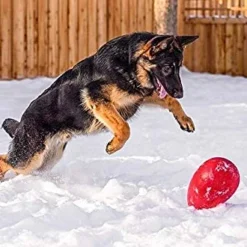 Jolly Pets Balle En Forme Duf Interactif Rouge -Trixie Soldes Magasin juguete para perros pelota huevo 629f5480009b2