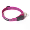 Julius K9 Collier En Nylon Avec Anneau Rose -Trixie Soldes Magasin julius collar rosa 63726ee5ce272
