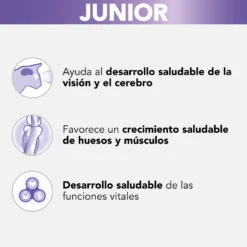 Lot 26 Pro Plan Kitten Nutri Savour Sachet Morceaux De Dinde En Sauce 6 Lot 26 Pro Plan Kitten Nutri Savour Sachet Morceaux De Dinde En Sauce -Trixie Soldes Magasin junior nutri savour pavo en salsa 2