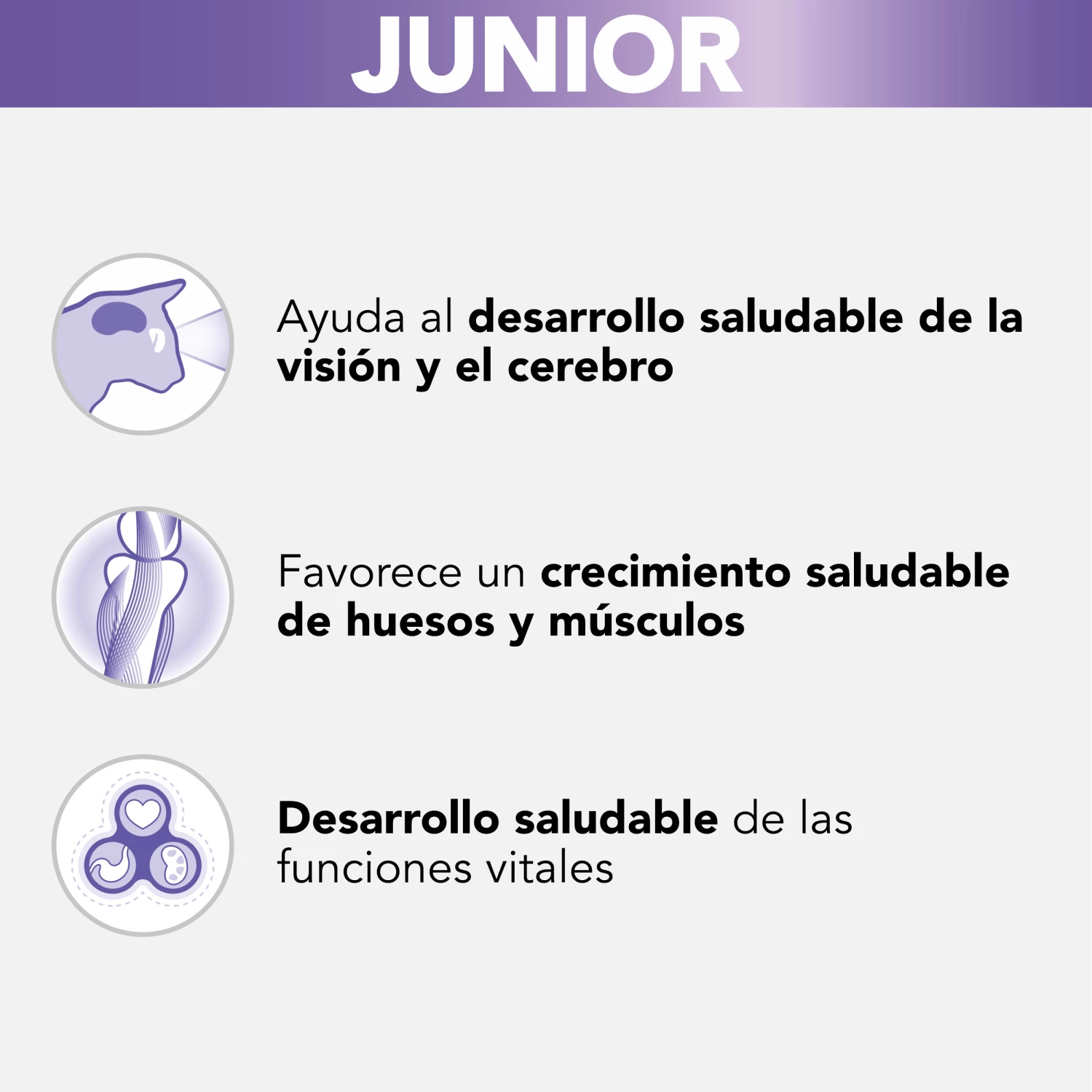 Lot 26 Pro Plan Kitten Nutri Savour Sachet Morceaux De Dinde En Sauce 4 Lot 26 Pro Plan Kitten Nutri Savour Sachet Morceaux De Dinde En Sauce – Image 2