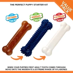 Nylabone Puppy Starter Kit S Puppy/Extreme/Dental 7 Nylabone Puppy Starter Kit S Puppy/Extreme/Dental -Trixie Soldes Magasin kit de huesos para cachorro 6422fee82117b