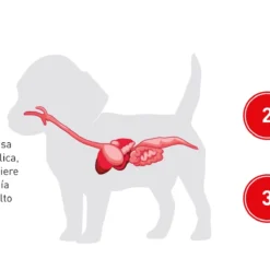 Royal Canin Labrador Retriever Puppy Aliment Pour Chiots -Trixie Soldes Magasin labrador puppy royal canin 6436bdfa0dadc