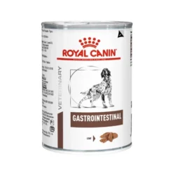 Royal Canin Nourriture Húemda Gastro-intestinal Canine