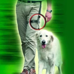 Flamingo Laisse Legleader Pour Apprendre à Marcher -Trixie Soldes Magasin legleader 39 60cm 60cm correa negro 4016598643303 1