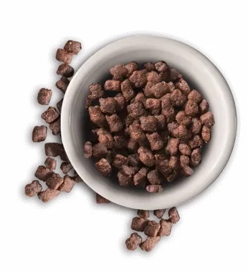 Leonardo Nourriture Kitten 4 Leonardo Nourriture Kitten – Image 2