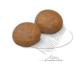 Royal Canin Tourteau Maxi Adult +5 11 Royal Canin Tourteau Maxi Adult +5 -Trixie Soldes Magasin ma ad5 croc50 6246c4d00bf0b